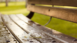 A close up of a bench that's wet, with a single flower on it.