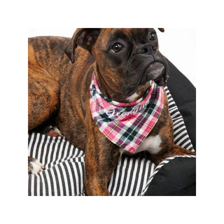 Dog Bandana - Pink Plaid - Things Engraved