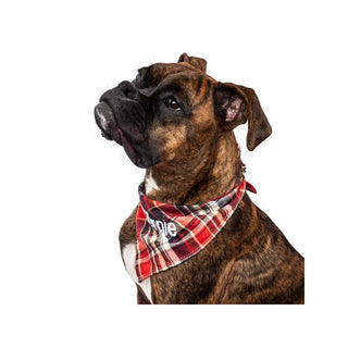 Dog Bandana - Blue and Red Plaid - Things Engraved