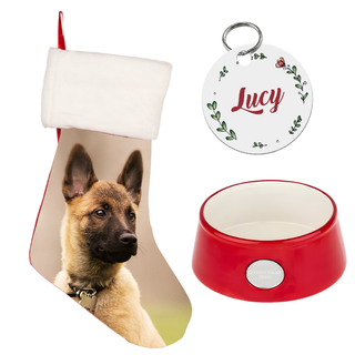 Ultimate Dog Lovers Holiday Bundle - Things Engraved