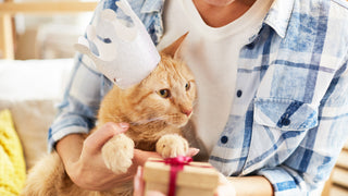 An orange tabby cat is being held by it's owner wearing a blue plaid shirt.  The cat is wearing a white paper crown and is gently holding one paw on a small gift, wrapped in brown with a red ribbon in a bow.