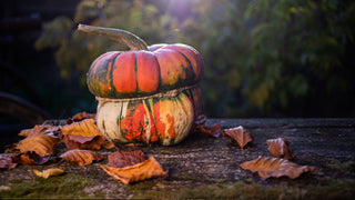 Pumpkin Sitting on a Wooden Table with crispy fall leaves