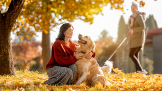 Woman with red sweatshirt hugs her golden retriever in a park in fall with golden leaves and golden lighting.