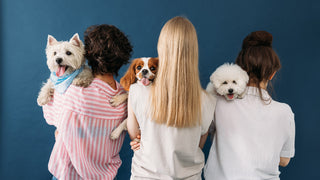 Three women standing with their backs to the camera, each holding a dog over their shoulder.