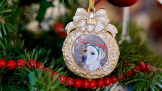 An image of a dog is printed on an ornate Christmas ornament hanging on a Christmas tree.