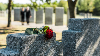 A single red rose is laid in the shadows on top of a memorial monument.