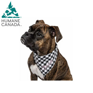 Humane Canada Dog Bandana - Gingham Plaid - Things Engraved