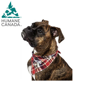 Humane Canada Dog Bandana - Blue and Red Plaid - Things Engraved