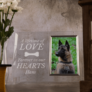 Cadre photo en verre commémoratif pour animaux de compagnie Une vie d'amour